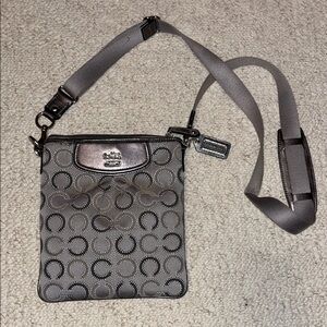 Coach Metallic Gray Signature Crossbody